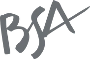 BSA · Badalona Serveis Assistencials